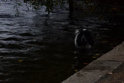 DSC_0528 (Large).JPG